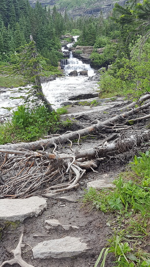 Glacier National Park