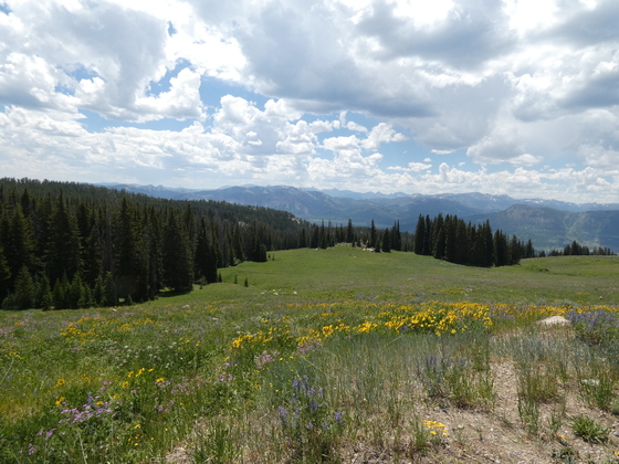 Beartooth Highway