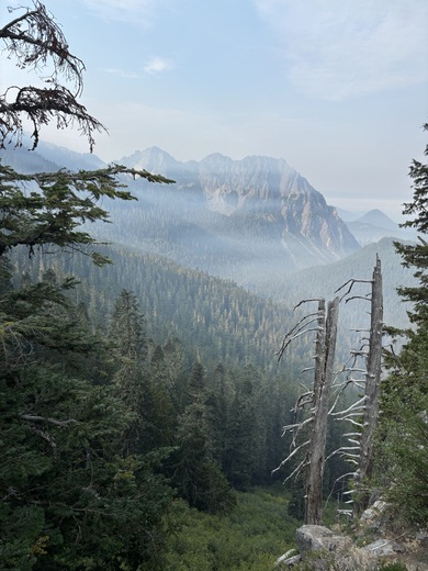 Mount Rainier National Park 