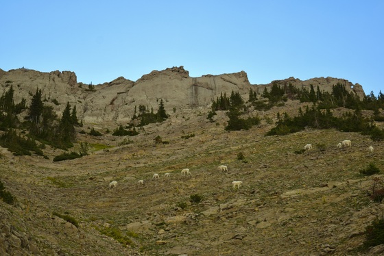 Custer Gallatin National Forest