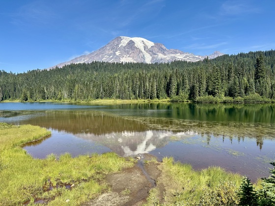 Mt Rainier National Park