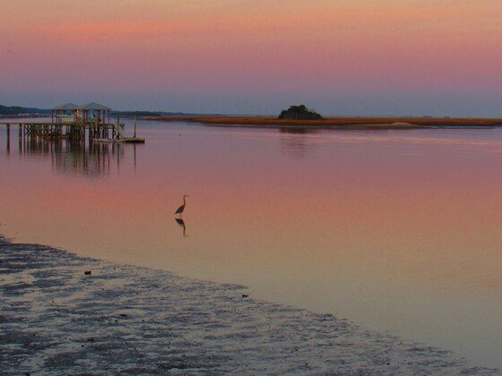 Cape Romain National Wildlife Refuge