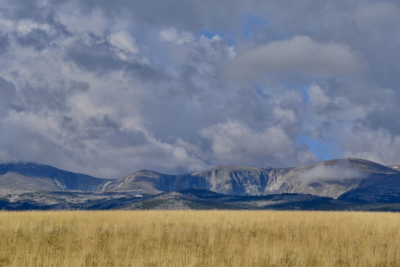 Bighorn National Forest