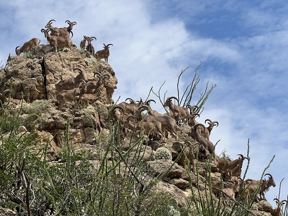 Carlsbad Caverns National Park