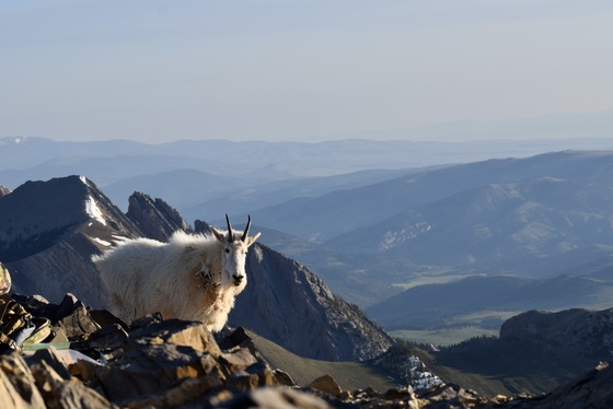 Custer Gallatin National Forest