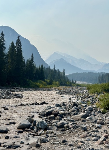 Mt Rainier National Park