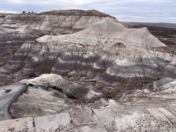 Petrified Forest National Park