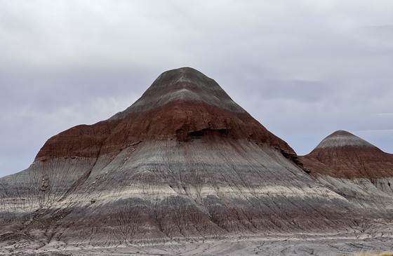Petrified Forest National Park