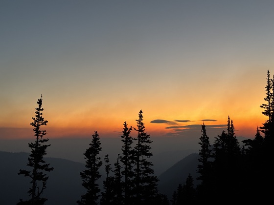 Mount Rainier National Park 