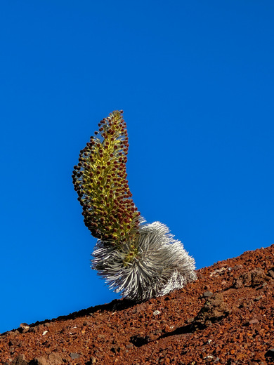 Haleakala National Park