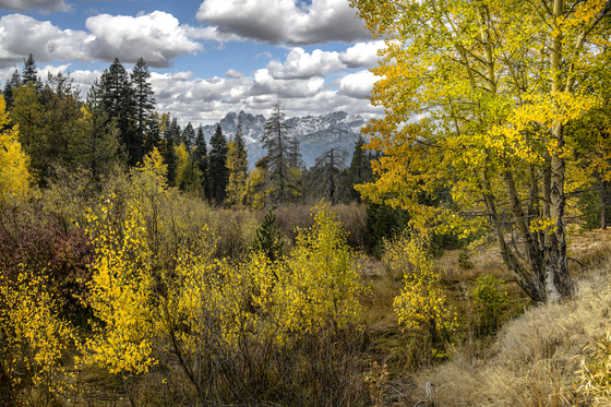 Tahoe National Forest