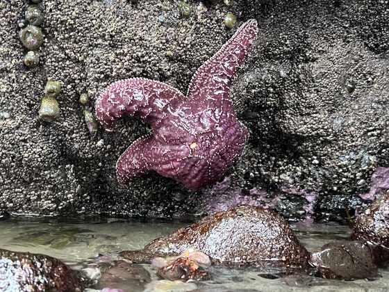Olympic National Park