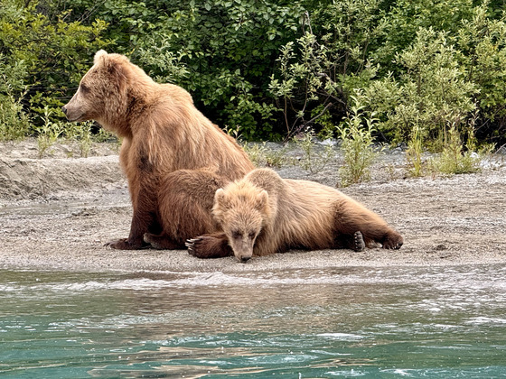 Lake Clark National Park and Preserve