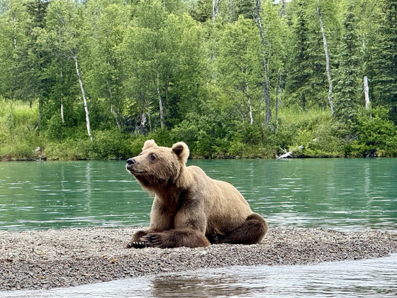 Lake Clark National Park and Preserve