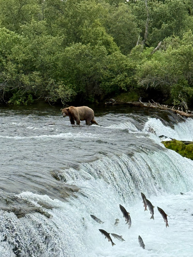 Katmai National Park