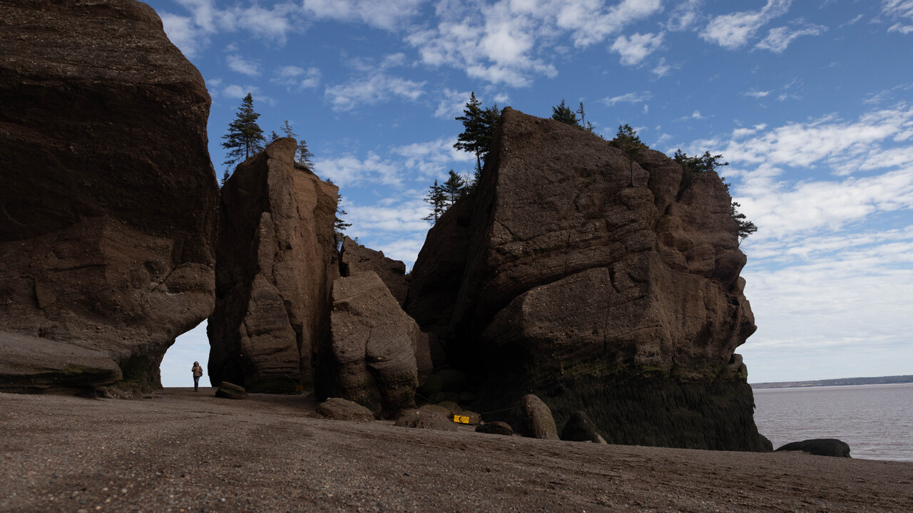 Along The Ocean Floor 