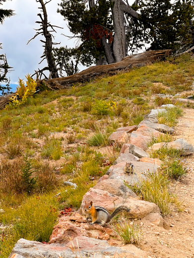 Crater Lake National Park