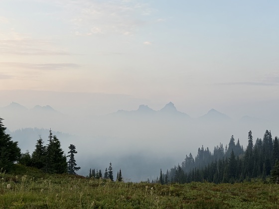 Mount Rainier National Park 