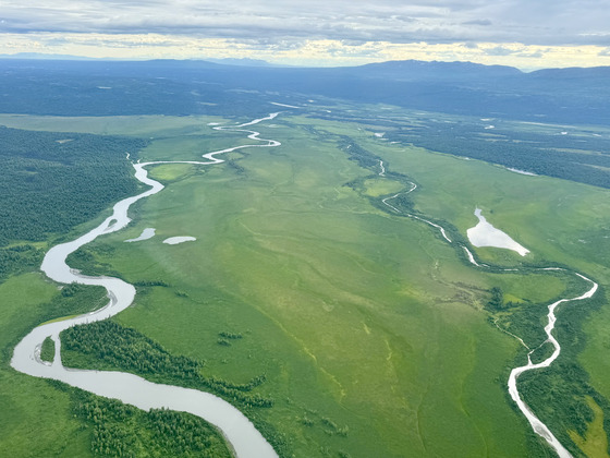 Denali National Park 