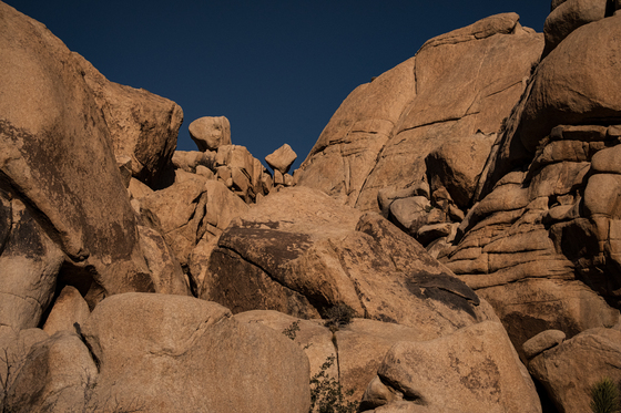 Joshua Tree National Park