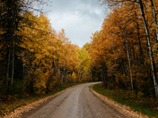 Trail in the Narrows