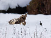 The Second before Impact