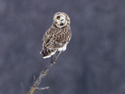 You’re an interesting human