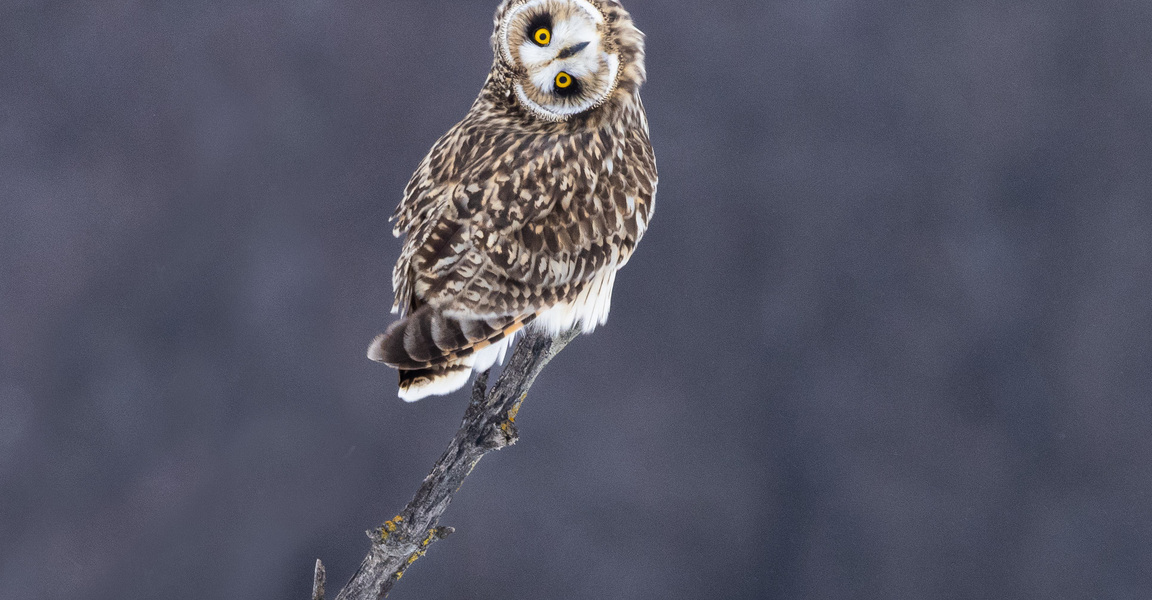 You’re an interesting human