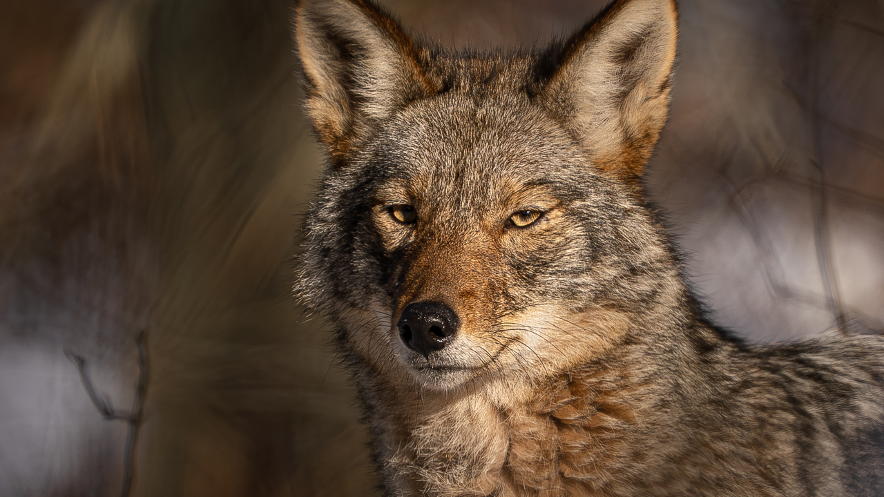 If judgement had a face, this would be it.