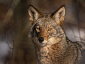 If judgement had a face, this would be it.