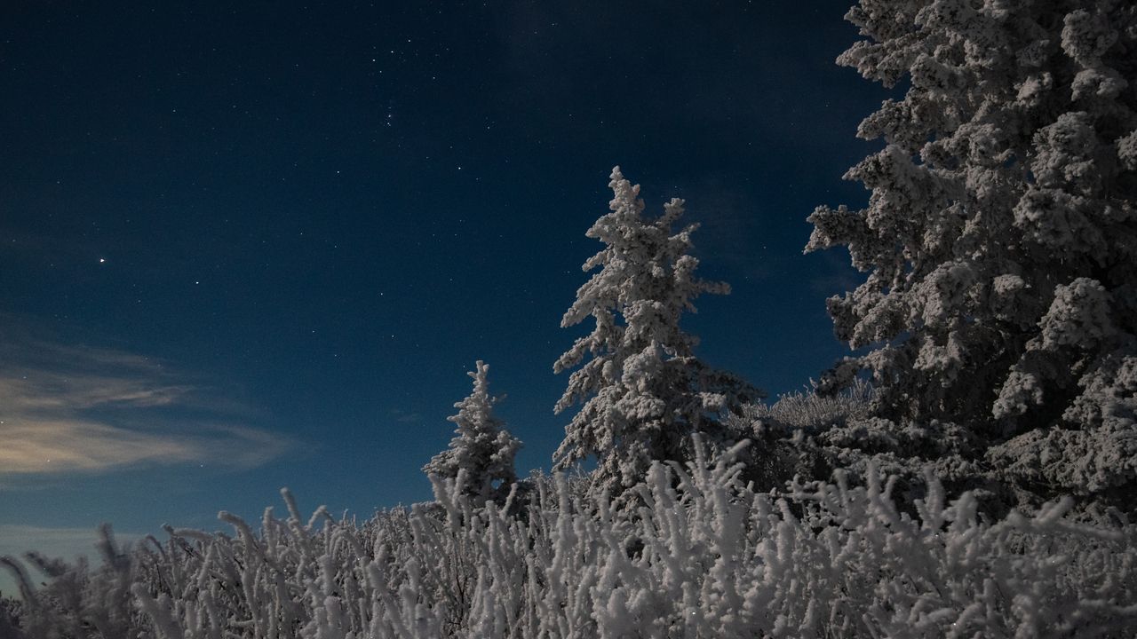 Rime ice and moonlight