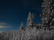 Rime ice and moonlight