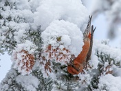 Things Are Better Upside Down