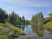 A beautiful late Summer day. 