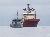 Caribou and Raven on a foggy day.