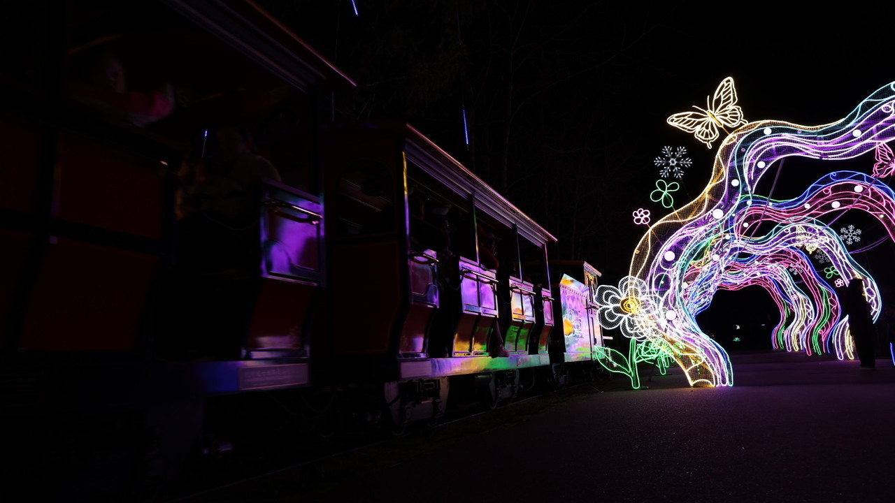 Arch of light at local zoo