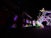 Arch of light at local zoo