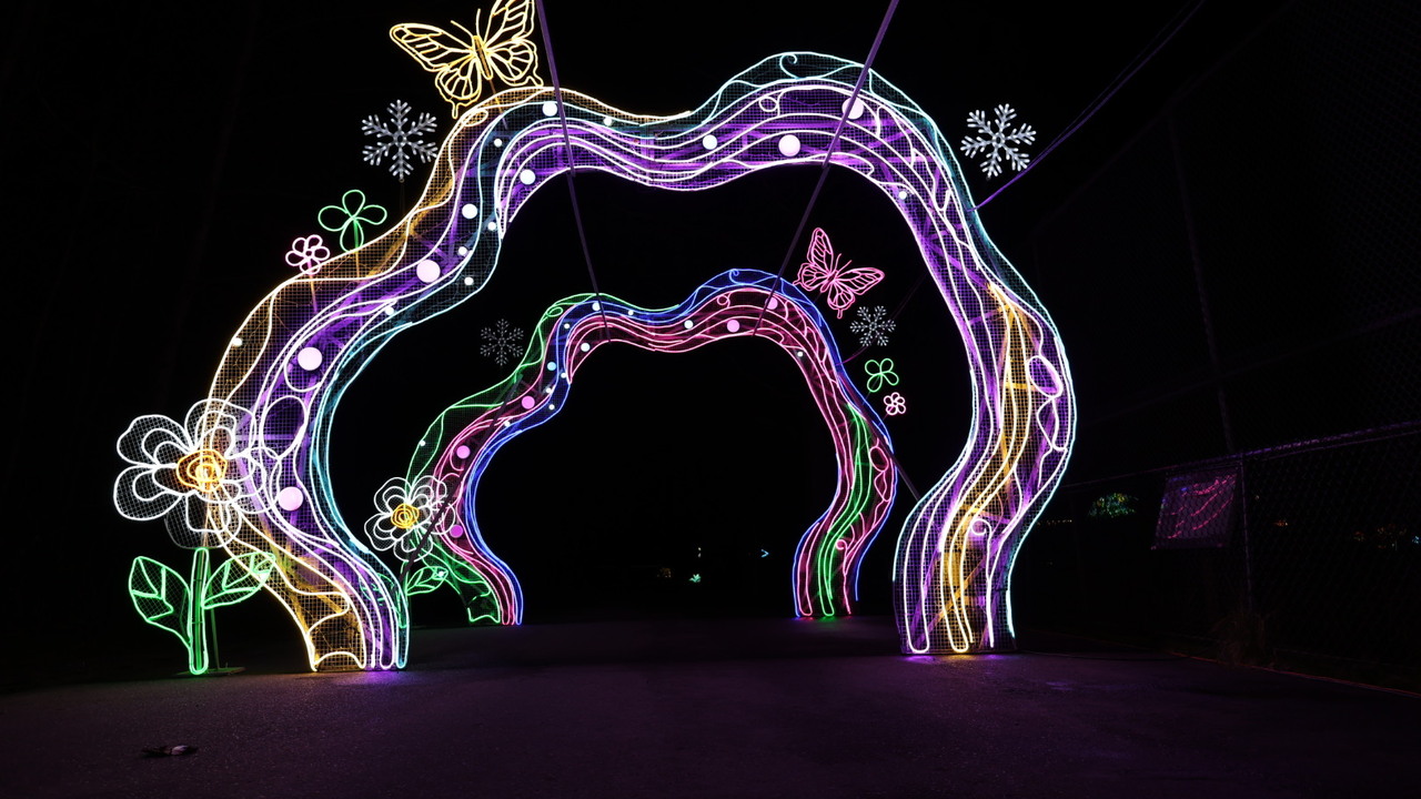 Arch of light at local zoo