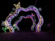 Arch of light at local zoo