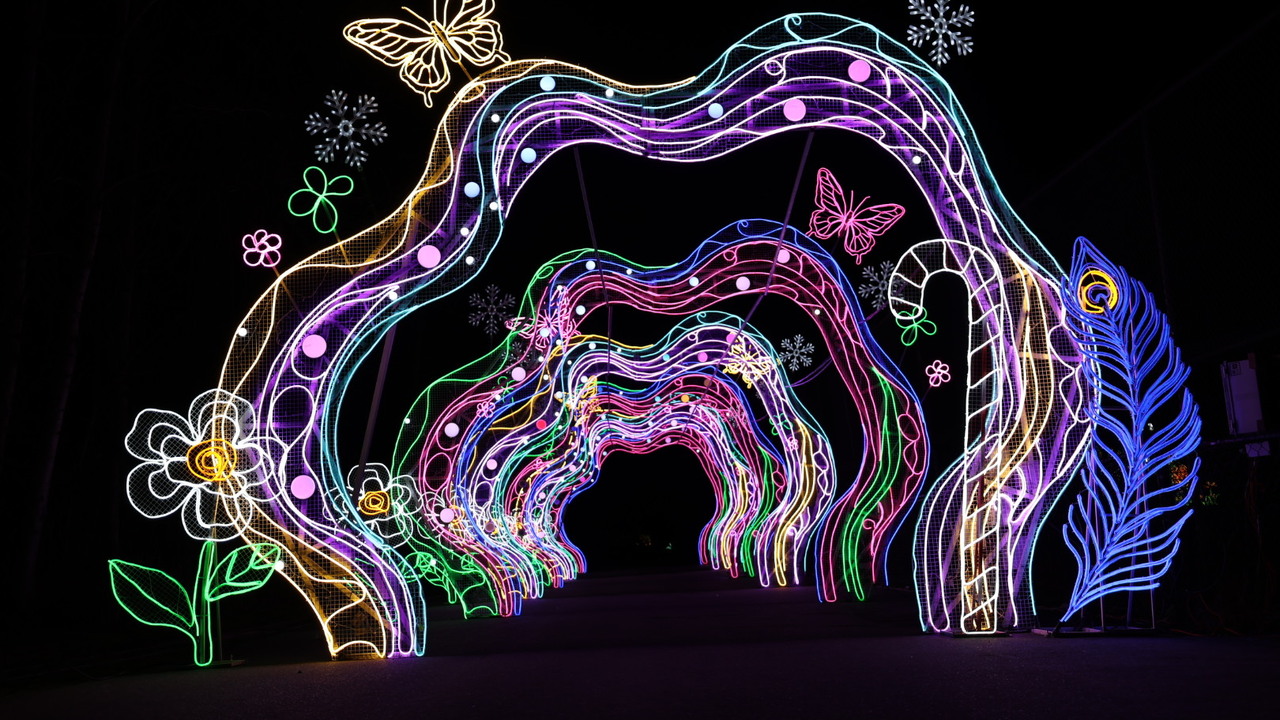 Arch of light at local zoo