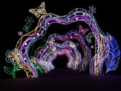 Arch of light at local zoo