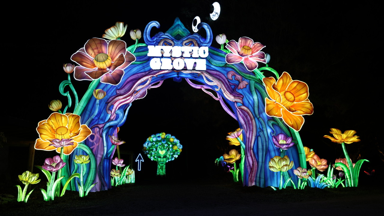 Arch of light at local zoo