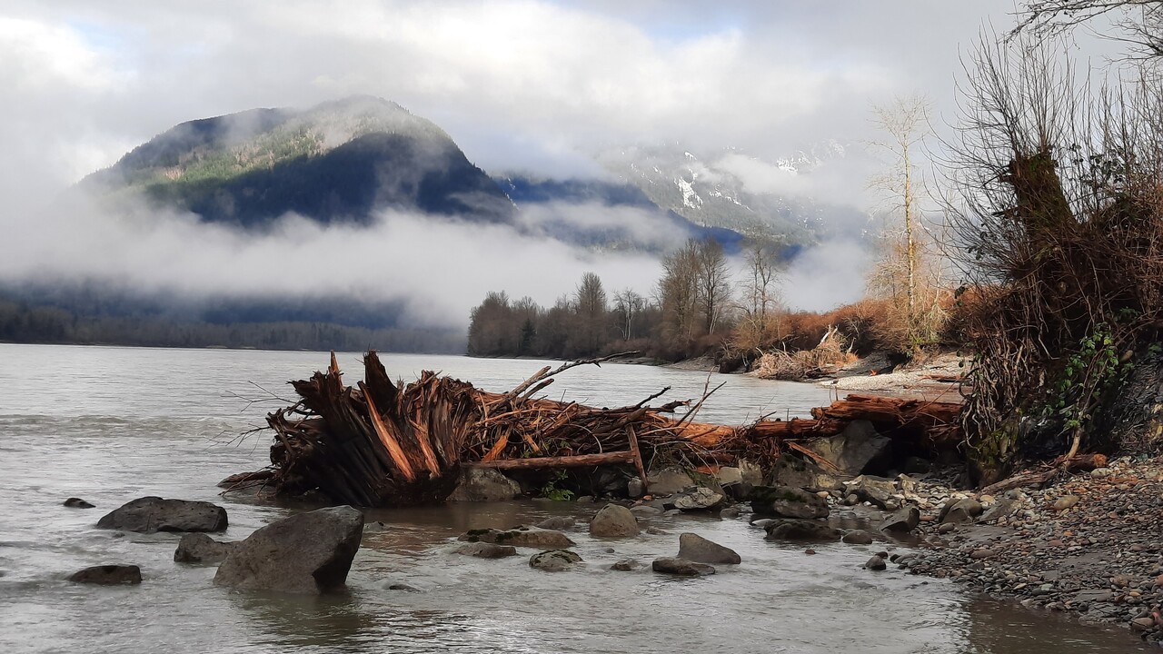 Fraser River, Chilliwack BC