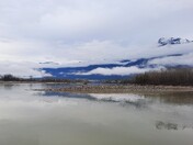 Fraser River, Chilliwack BC