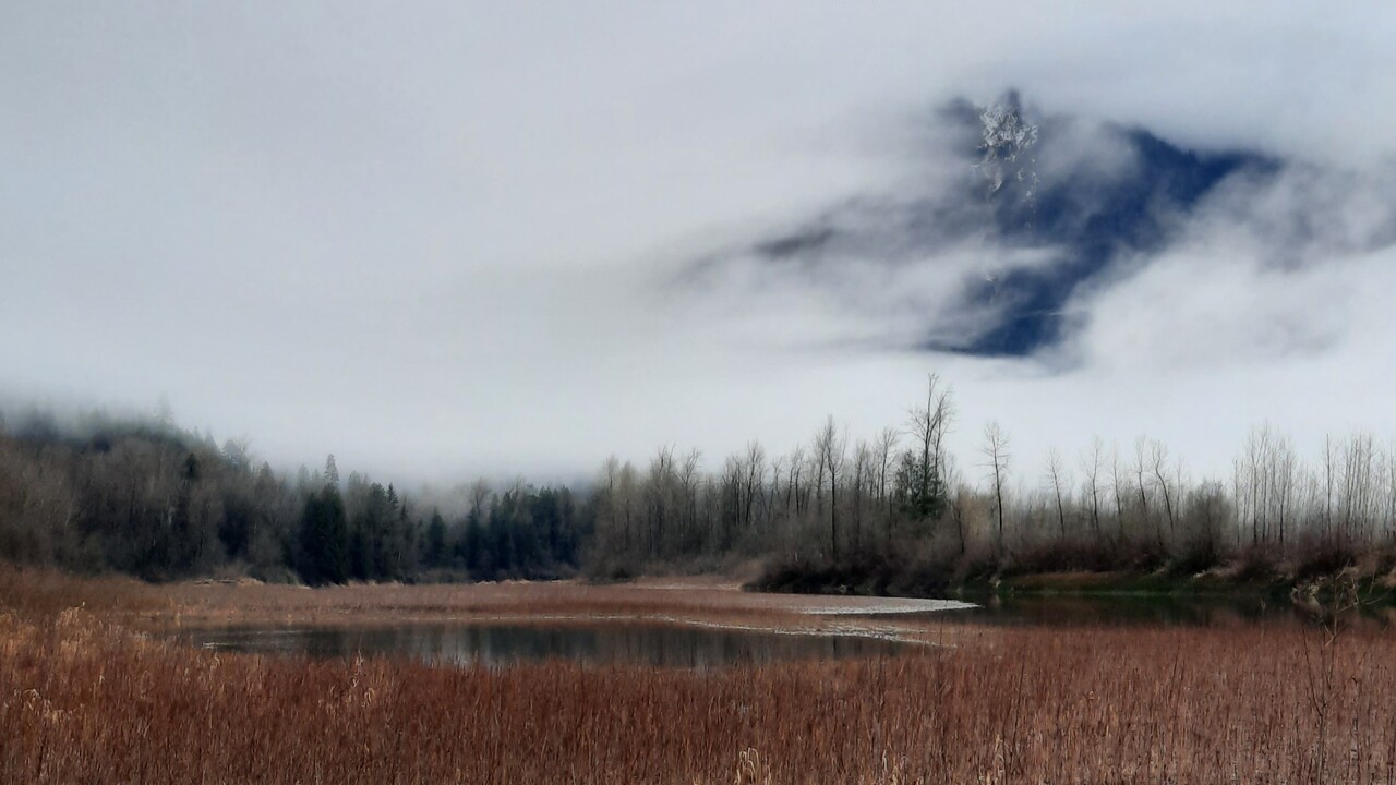 Fraser River, Chilliwack BC