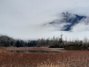 Fraser River, Chilliwack BC