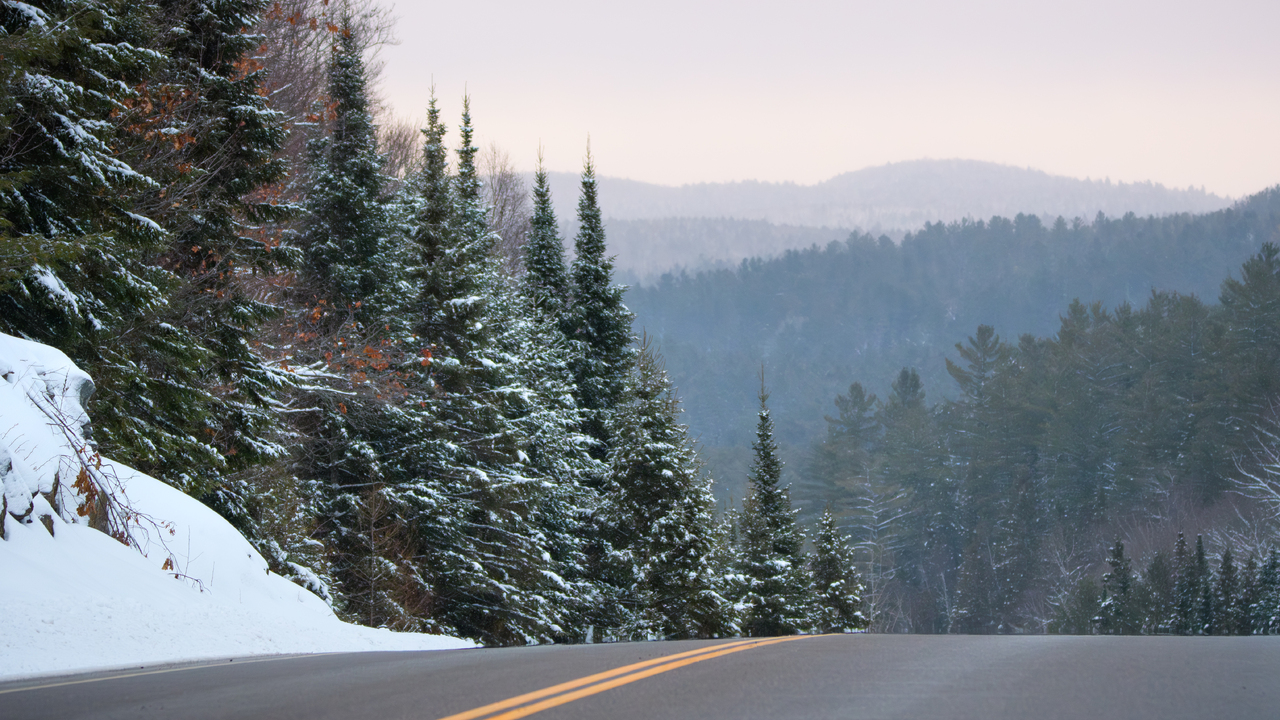 Dusk in a snowy Algonquin Park