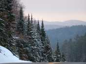 Dusk in a snowy Algonquin Park