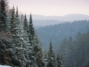 Dusk in a snowy Algonquin Park