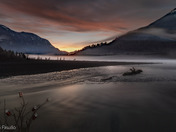 Who said beer doesn’t grow on trees in Canada?